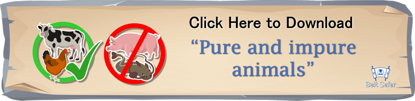 Pure and Impure Animals